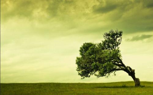 男人手淫的危害 手淫会引起早泄阳痿吗