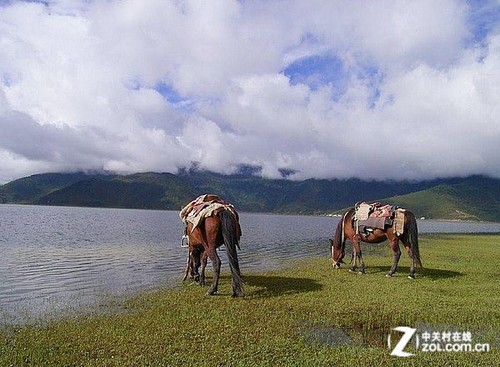 大C游世界 云南拉市海西湖馬場(chǎng)怎么玩