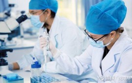 紫鑫藥業(yè)：罰單背后的麻煩 人參食品仍未現(xiàn)