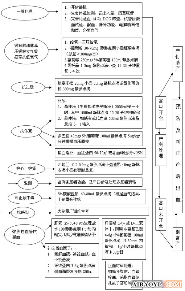 羊水栓塞 羊水栓塞抢救流程图 羊水栓塞抢救流程