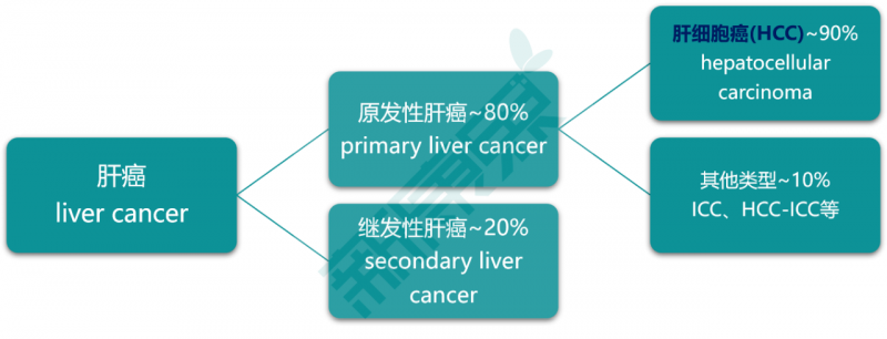 中國(guó)肝癌用藥市場(chǎng)概覽