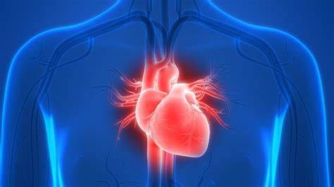 Lancet：药物组合可能有助于预防心力衰竭