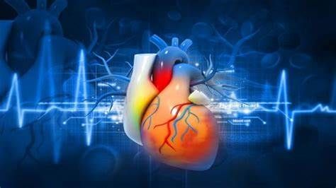 JAMA #160;Cardiol：警惕！年轻时血压不稳定预示着未来心脏病风险增加！