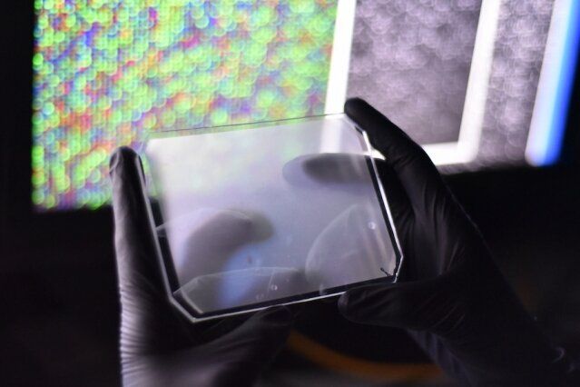 Nature重大突破：利用CRISPR实现病毒高通量检测，一次检测169种病毒！
