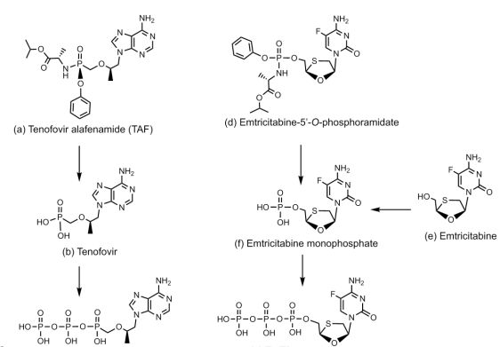 biorxiv：HIV药物中两种成分可有效抑制SARS-CoV-2聚合酶