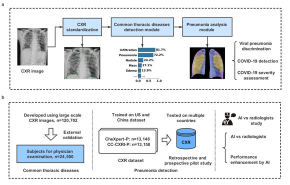 利用X线胸片人工智能诊断新冠肺炎的研究成果在NatureBiomedicalEngineering发表
