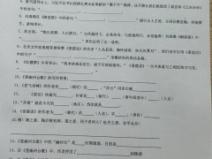 胎心仪